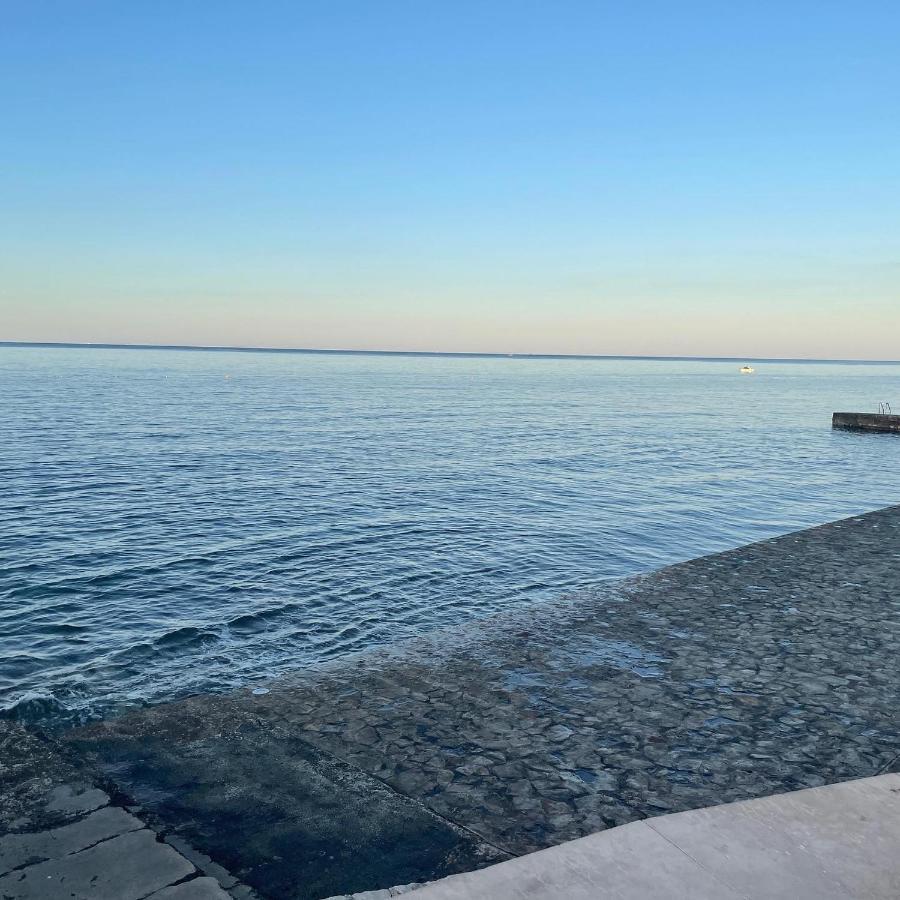 App Robi Novigrad (Istria) Exterior foto